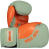 TOP TEN Boxing Gloves "Dragon"