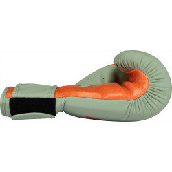 TOP TEN Boxing Gloves "Dragon"
