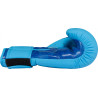 TOP TEN Boxing Gloves "Dragon"