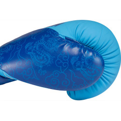 TOP TEN Boxing Gloves "Dragon"