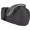 TOP TEN Boxing Gloves "Dragon"