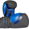 TOP TEN Boxing Gloves "Dragon"