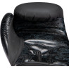 TOP TEN Boxing Gloves "Dragon"