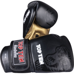 TOP TEN Sparring Gloves "Ajarn"