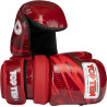 TOP TEN Pointfighter "Legacy25"